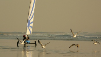 Rouler avec les oiseaux 